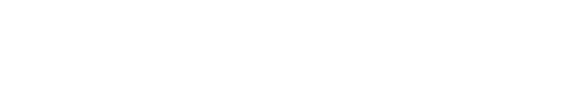 TrueNorth Community Services Logo and Link